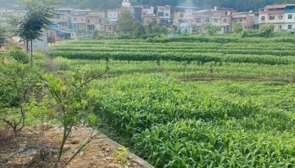 赛事比分-下一代都不回农村，还有必要回老家建房吗？说回农村建房人傻的，才是真不懂