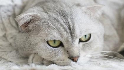 华体会官网：体育世界的一站式体验，点亮你的热血每一天